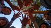 ETC_Group_Hands_2021_16x9
