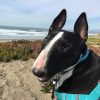 ShelbyLewis_NA_Staff
